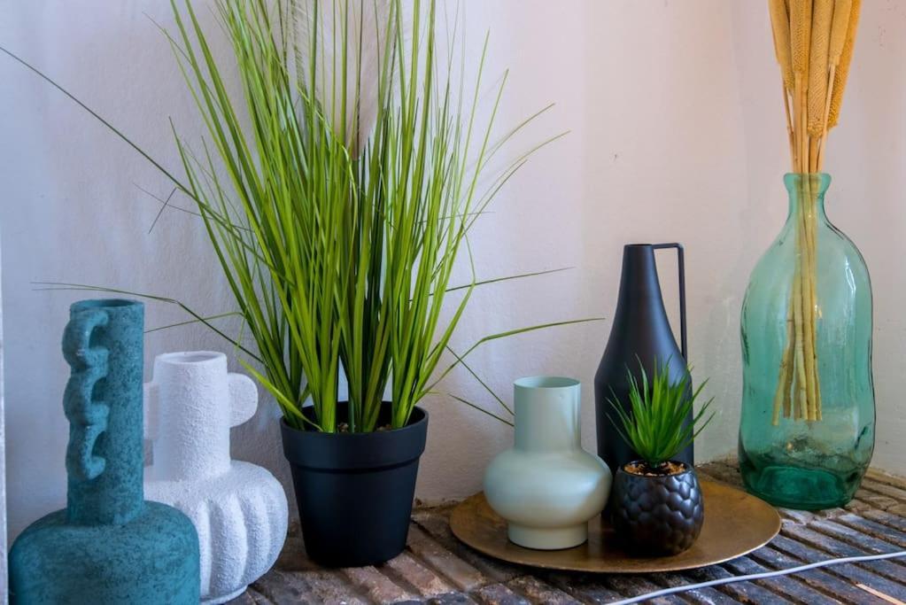 앙제 Le Botanica 아파트 외부 사진